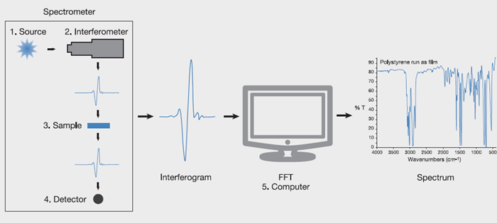 The IR spectrometry process, from source to the created spectrum.