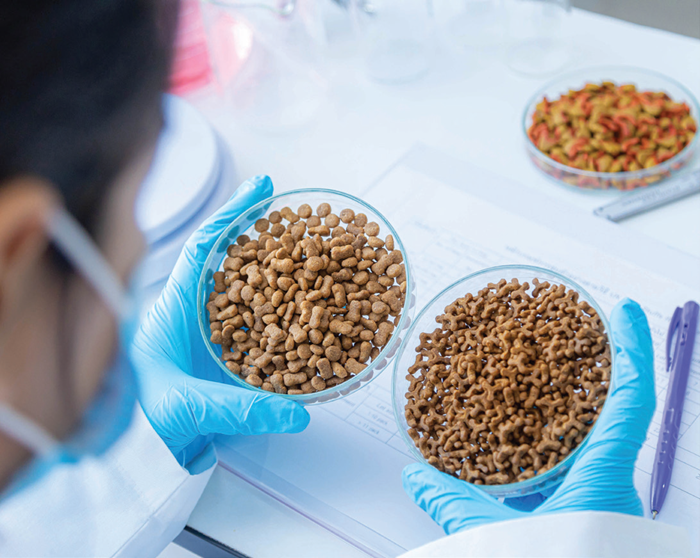 How to Ensure Pet Food Safety