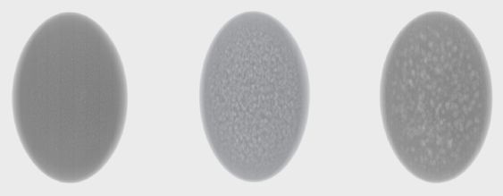 Images A1, A2, and B (left to right) are classified as not fully matured cheeses