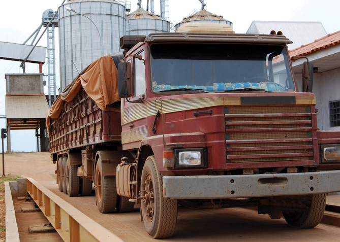 How to Measure Oil and Water in Seeds Using ISO 10565