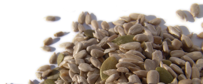 How to Measure Oil and Water in Seeds Using ISO 10565