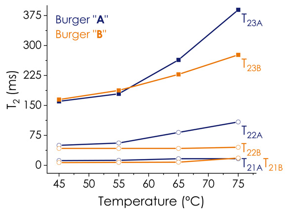 T2 values over the heating process for both PBM burgers A (blue) and B (orange)