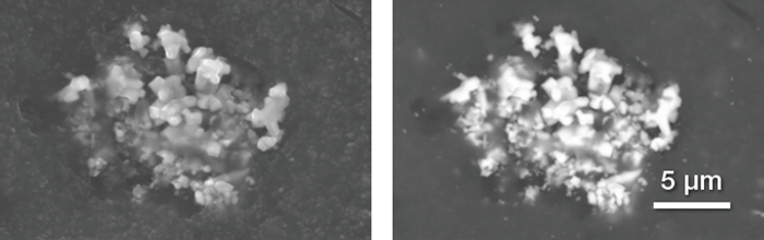 Secondary electrons and backscattered electrons image of a Zn oxide particles cluster. Acc voltage 20 keV, beam current 0.48 nA, acquisition time 40 s