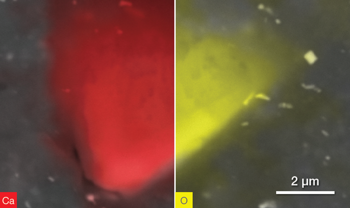 CaCO3 particle. Ca distribution (left) and O distribution (right). Acquisition time 40 s