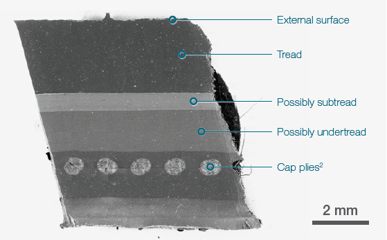 19x19 tiles montage. Tot acquisition time ˜ 15 mins. Acc voltage 20 keV, beam current 0.94 nA, Low vacuum (30 Pa).