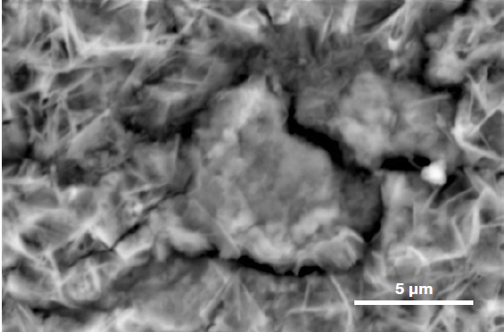 ChemiSEM images of the foreign particle. From top to bottom: backscattered electron image, calcium, fluorine, and silicon distribution. (Acc voltage 15 keV, beam current 0.85 nA, acquisition time 60 s).