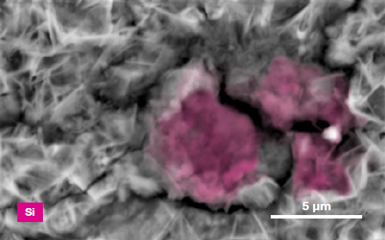 ChemiSEM images of the foreign particle. From top to bottom: backscattered electron image, calcium, fluorine, and silicon distribution. (Acc voltage 15 keV, beam current 0.85 nA, acquisition time 60 s).
