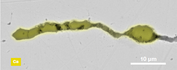 ChemiSEM images of one of the sub-surface inclusions. From top left: backscattered electron image, calcium, fluorine, and silicon maps showing their distribution within the inclusions (Acc voltage 15 keV, beam current 0.44 nA).