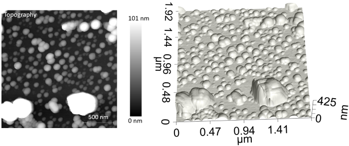 Topography and 3D rendering of the sample surface with four different types of nanoparticles. Conventional microscopy techniques cannot identify chemicals at this small scale. The Vista One was then used to take PiF-IR spectra on different particles in the AFM image. Three unique spectra were obtained, and Figure 2 shows the locations they were acquired from. These spectra were compared to bulk FTIR spectra for each material, which was obtained gleaned from the internet. The PiF-IR spectra from individual particles matched the bulk FTIR spectra closely enough that they can be used to chemically identify the different particles