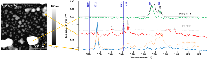 PiF-IR spectra acquired on different particles correspond well with the bulk FTIR spectra for each material, allowing the researchers to identify each nanoparticle chemically