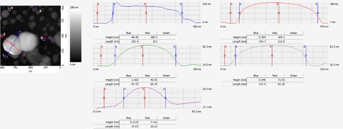 The sizes of the PTFE, PMMA, PS, and gold nanoparticles are about 190 nm, 40 nm, 70 nm, and 10 nm, respectively