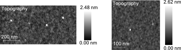 Two AFM images taken from samples with SiO<sub>x</sub>/ silicon substrate and an attempted monolayer with peptoids
