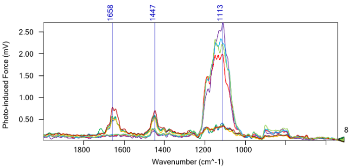 PiF-IR spectra of the e-beam patterned sample. The colored triangles in Figure 4</i><i> correspond to the location where the same-colored spectra were obtained. These findings prove that PiFM permits the monolayer detection of molecules with true nanoscale spatial resolution