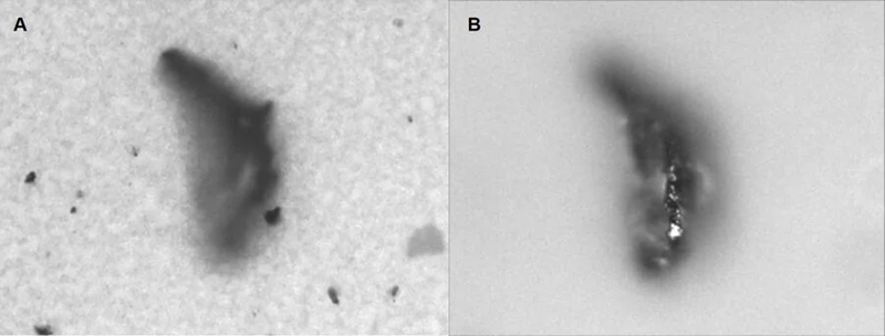 Particle height measurement with optical microscopy by focusing on the A) lower filter background and B) top of the particle