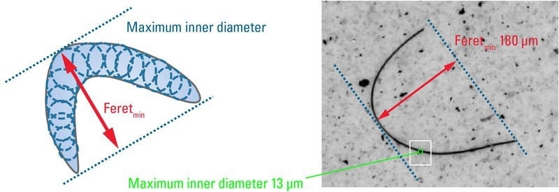 Width or length measurement of a curved fiber with optical microscopy. A more realistic assessment of its potential to cause damage is made using the max circular diameter which can be imposed inside the fiber (13 µm). For this case, the minimum Feret diameter (Feretmin= 180 µm) is not appropriate, as it greatly overestimates the damage potential