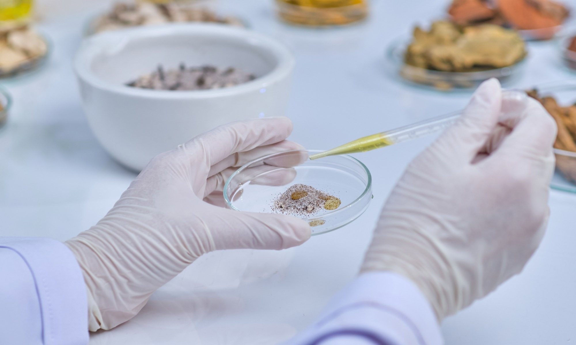 A scientist uses a pipette to add a yellow liquid to a petri dish containing herbal powders. The workspace is organized with various glass containers and plant materials.
