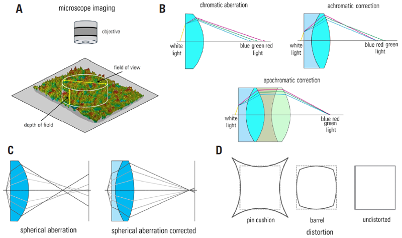 Some aberrations which must be corrected for optical microscope imaging: A) diagram showing the field of view (FOV) and depth of field (DOF) of a microscope objective imaging a sample; B) achromatic and apochromatic correction demonstrated with ray tracing of white light passing through lenses; C) spherical correction also clarified with ray tracing; and D) illustration explaining the distortion possible with optical lenses which also is corrected