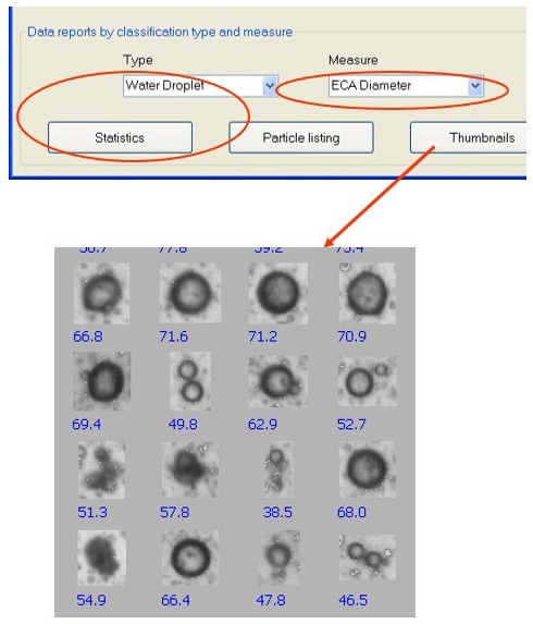 Particles can be classified by established wear classes or can be customized