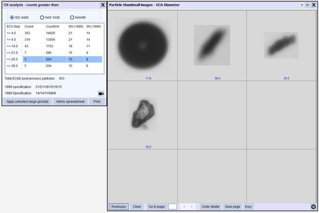 Particle thumbnail image (showing diameter)