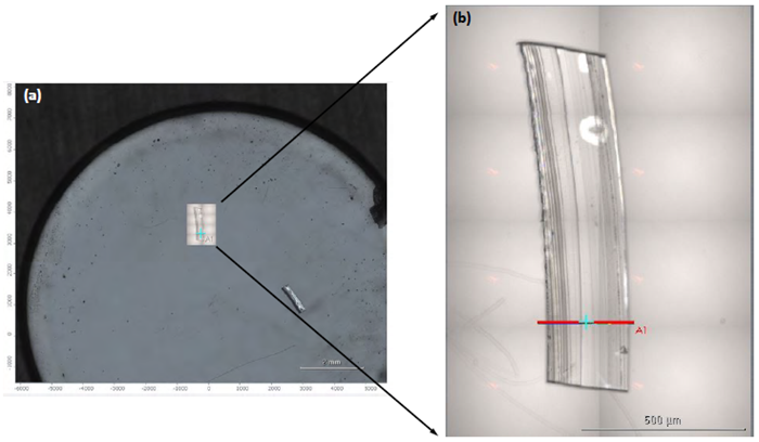 (a) Initial visual mosaic image collected with a 4X visual objective showing essentially the entire barium fluoride window. This view is used to locate the cross-section on the window. (b) Second visual mosaic of the cross-section collected with the 15X infrared objective. Area A1 indicates the portion of the cross-section that was analyzed
