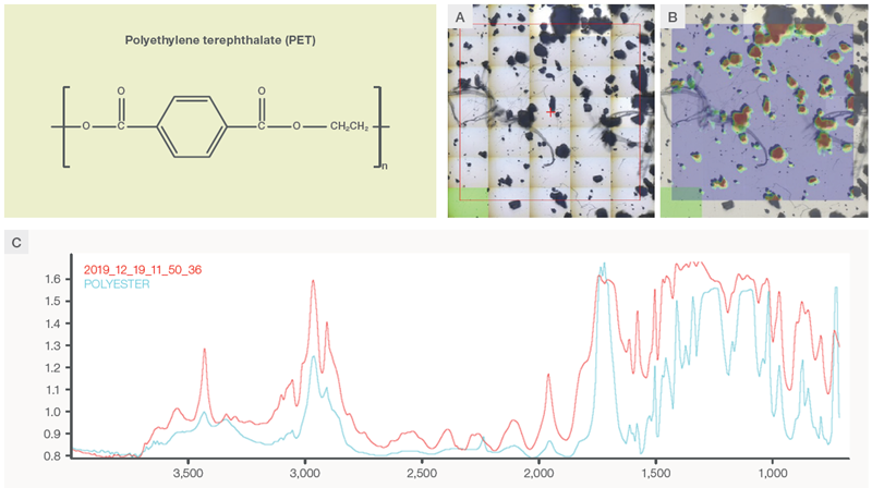Analysis of recycled PET powders using reflectance FTIR microscopy. (A) Optical image of the recycled PET powders spread on a gold slide. (B) Chemical image superimposed with the optical image. The chemical image is the correlation profile using the PET spectrum as the reference. (C) Reflectance FTIR spectra of the recycled PET particles (red) and the standard reference spectrum from the library (blue)