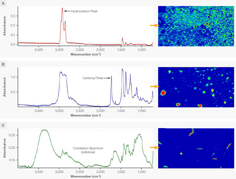 False color infrared images of the area on the first contaminated SDD (see Figure 1). The colors represent peak intensities (A,B) or degree of correlation (C) and range from blue where the values are lowest through green and yellow and finally to red where the values are the highest. (A) An infrared image based on the peak area (2931-2881 cm<sup>-1</sup>) of the hydrocarbon oil spectrum shown adjacent to the image; (B) An infrared image based on the ester carbonyl peak area (1771-1684 cm<sup>-1</sup>) shown in the corresponding spectrum; (C) The infrared image based on a correlation to the spectrum of cellulose from the sample shown in the adjoining spectrum