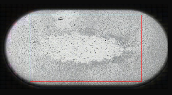 Visual mosaic image of the second contaminated SDD collected with the iN10 MX. The red rectangle indicates the area (9375 x 5850 µm<sup>2</sup>) selected for FTIR imaging (see Figure 5)
