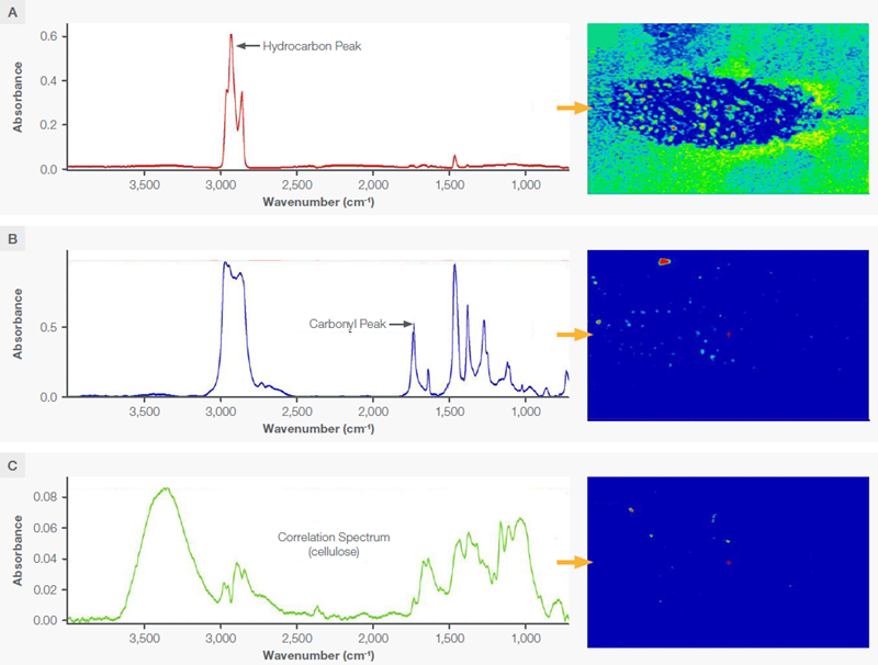 False color infrared images of the area on the second contaminated SDD. The colors represent peak intensities (A,B) or degree of correlation (C) and range from blue where the values are lowest through green and yellow and finally to red where the values are the highest. (A) An infrared image based on the peak area (2931-2881 cm<sup>-1</sup>) of the hydrocarbon oil spectrum shown adjacent to the image; (B) An infrared image based on the ester carbonyl peak area (1771-1684 cm<sup>-1</sup>) shown in the corresponding spectrum; (C) The infrared image based on a correlation to the spectrum of cellulose from the sample shown in the adjoining spectrum