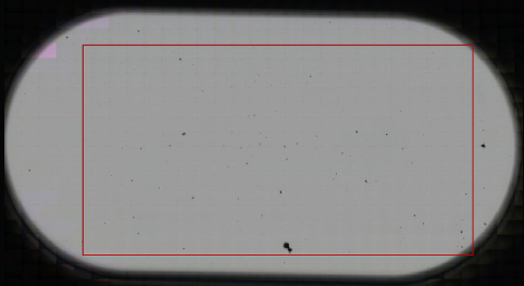 Visual mosaic image of the third (mostly clean) SDD collected with the iN10 MX. The red rectangle indicates the area (10500 x 5250 µm<sup>2</sup>) selected for FTIR imaging (see Figure 7)