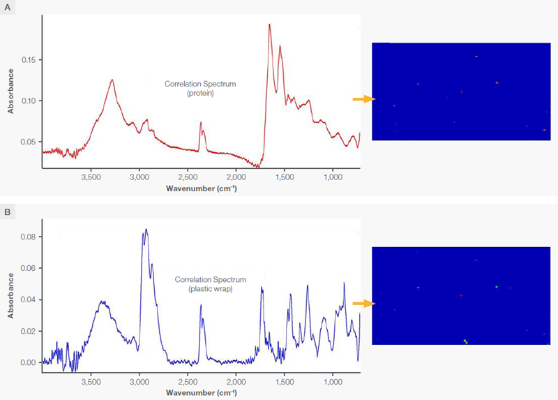 False color infrared images of the area on the third (mostly clean) SDD (see Figure 6). The colors represent the degree of correlation to the associated spectra and range from blue where the values are lowest through green and yellow and finally to red where the values are the highest. (A) An infrared image based on the correlation to the protein spectrum from the sample shown adjacent to the image, (B) An infrared image based on the correlation to the adjoining spectrum from a plastic particle on the sample