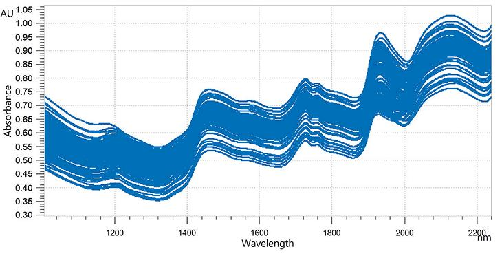 Overlaid NIR spectra of roasted coffee bean samples (whole beans). Data was obtained with an OMNIS NIR Analyzer Solid