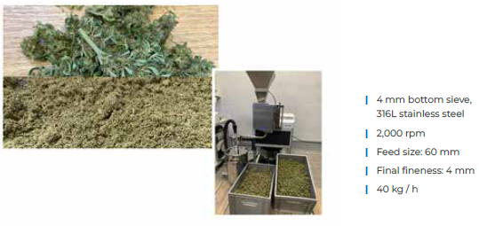 Illustration of the cannabis milling process