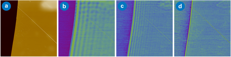 Topography and IR absorption images of a 75 nm thick hBN flake on Si/SiO<sub>2</sub>. (a) Topography and (b-d) IR images at 1480, 1520, and 1560 cm<sup>-1</sup>, obtained with Tapping AFM-IR. Scan size: 10x10 µm