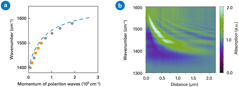 (a) Comparison of measured momentum of the polariton waves (points) with theoretical values (dashed curve). The gray circles and orange squares are results measured on IconIR and nanoIR3 instruments, respectively. (b) Spatio-spectral imaging of phonon polaritons in hBN