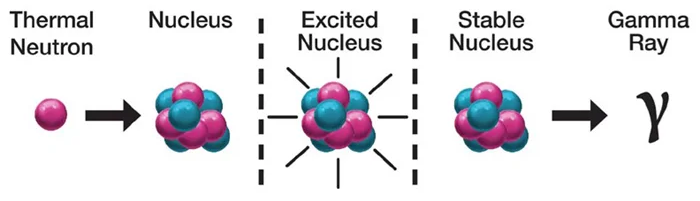 Schematic illustrating the principle of measurement of PGNAA