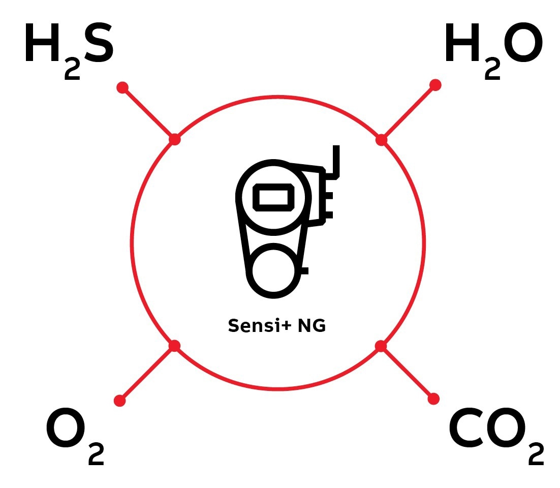 Advancing Natural Gas Quality Monitoring With Multi-Gas Analysis