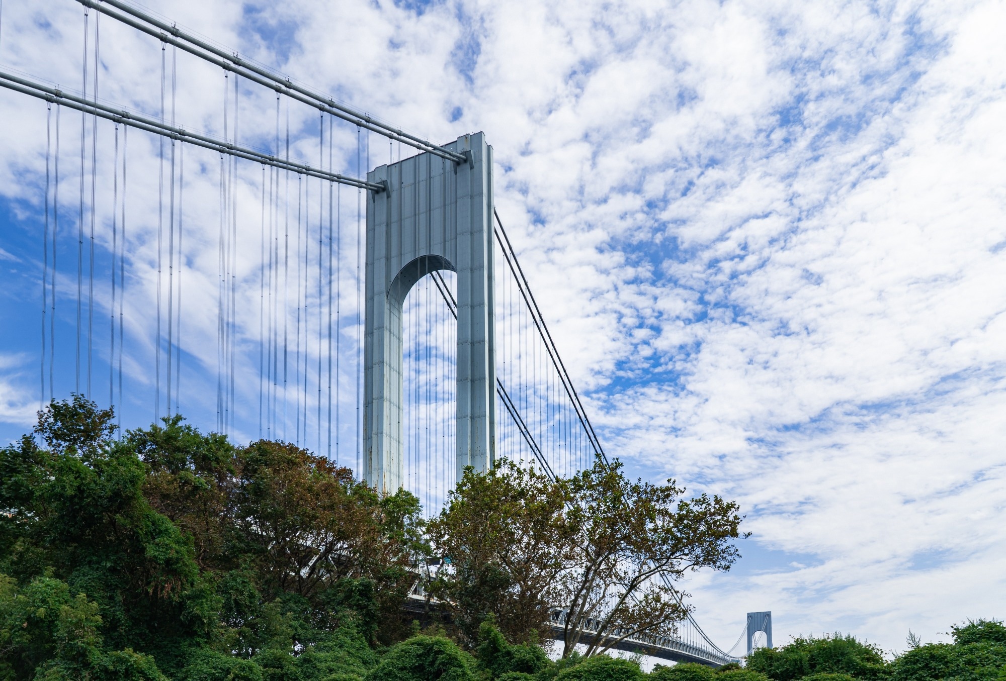 Verrazano: Nature