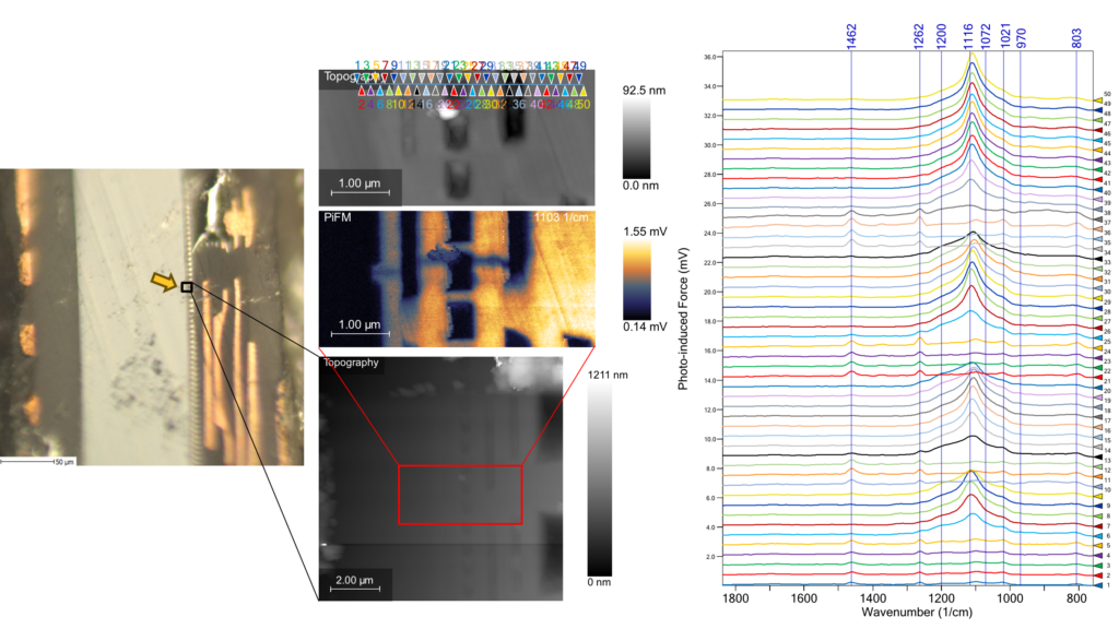 Optical image of the cross-section sample with the region of topography (bottom, 10 mm × 10 mm) indicated by a yellow arrow. A 5 µm × 2 µm region from the center of the lower topography image was analyzed further by acquiring PiF-IR spectra at the locations marked on the upper topography image. The middle image in the column shows the PiFM image acquired at 1103 cm<sup>−1</sup>, corresponding to the major SiO<sub>2</sub> peak, from the same location