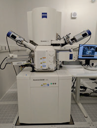 Bristol’s Plasma Zeiss Gemini560 with Oxford Instruments Detectors