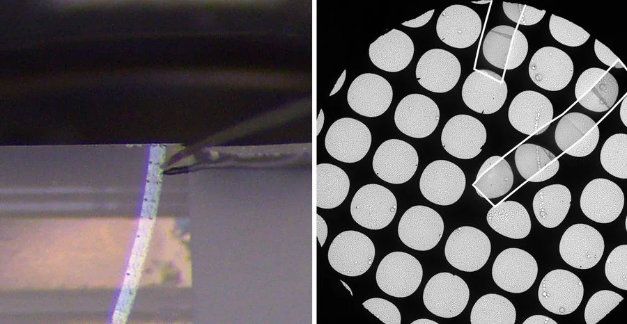 Ribbon of sections of poly(styrene)-b-poly(methyl methacrylate). Left: Sections on water in the knife boat during cutting guided by an eyelash. Right: Sections (white outlines) collected on grids with microgrid support.