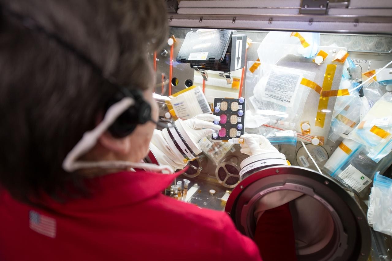 NASA astronaut Peggy Whitson working with the Efficacy and Metabolism of Azonafide Antibody-Drug Conjugates in Microgravity (ADCs in Microgravity).