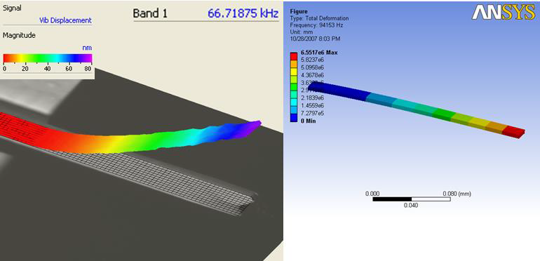 Comparison of cantilever first bending mode determined experimentally (left) and from FE model (right).