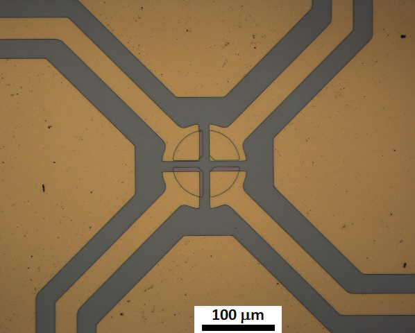 Microscope image of a fabricated sensor