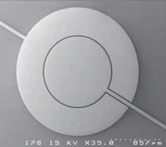 SEM image of the 4 mm diameter PZT circular membrane. Resonant modes are shown in the image to the right