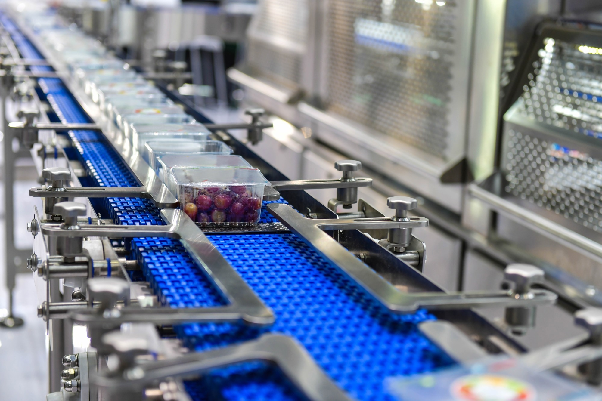 Conveyor belt with packaged grapes