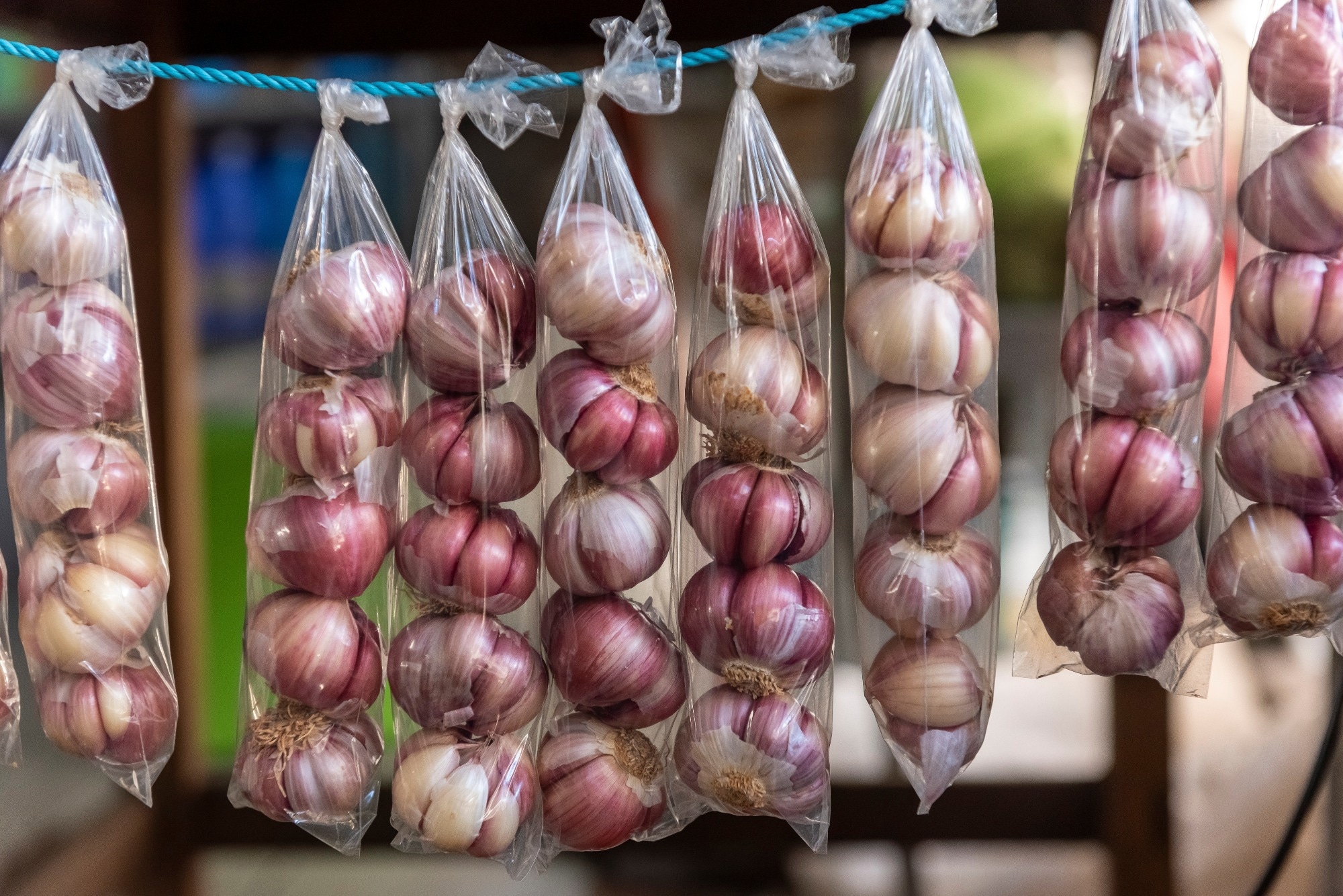 A rope with eight packages of garlic tied to it for storage.