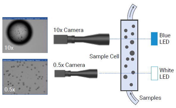 Setup of the PIC-1 dynamic imaging system of Bettersizer 2600 Plus