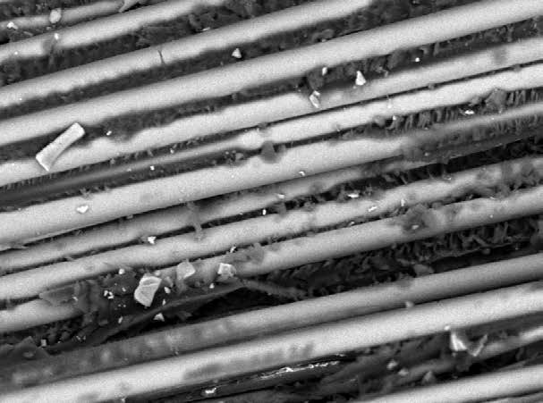 Magnified glass fibers
