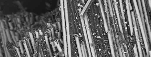 Magnified glass fibers