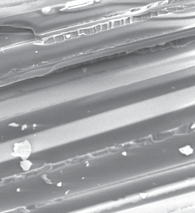 Uncoated glass fiber at 2x magnification